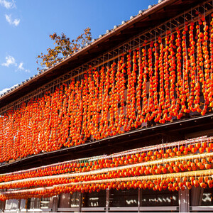 【冬季限定】半熟枯露柿「蜜六花 みつろっか」6～8個入　山梨産ドライフルーツ干し柿【1028349】