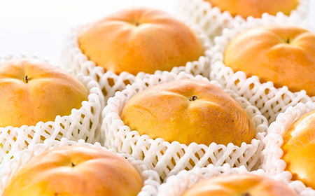 やまなし内藤農園の太秋柿 2.3kg【配送不可地域:離島】【1398816】