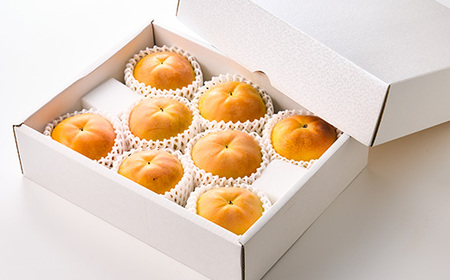 やまなし内藤農園の太秋柿 2.3kg【配送不可地域:離島】【1398816】