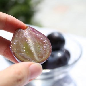 【2026年発送分先行受付】山梨産ブラックビート 2房(約1kg) 化粧箱入り レアな希少品種【配送不可地域：離島・沖縄県】【1041054】