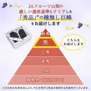 種なし巨峰(2房)【配送不可地域：離島】【1300007】
