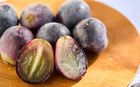 種なし巨峰(2房)【配送不可地域：離島】【1300007】