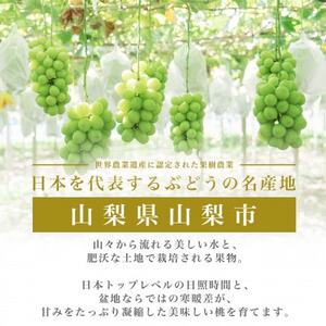 【7～8月発送】 先取りプレミアムシャインマスカット 2房 1kg以上 ハウス栽培 山梨市産【配送不可地域：離島】【1408892】