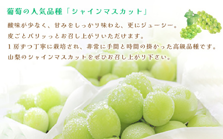 2026年発送 山梨県産 シャインマスカット 約2.5kg(4～6房) 山梨が誇る 人気果物【配送不可地域：離島・沖縄県】【1272527】