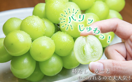 2026年発送 山梨県産 シャインマスカット 約2.5kg(4～6房) 山梨が誇る 人気果物【配送不可地域：離島・沖縄県】【1272527】
