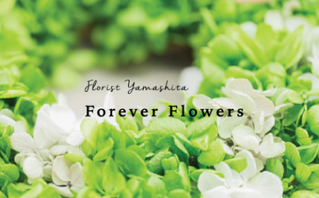 プリザーブドフラワー 紫陽花 グリーン リース【1271162】