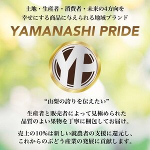 大ぶりで歯ごたえ◎ YAMANASHI PRIDE 晩生種 桃 (5～8個)【配送不可地域：離島】【1425351】