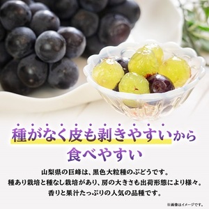 【2026年先行受付】山梨市産「巨峰(種なし)」詰め合わせ(約500g×3房)【配送不可地域：離島・沖縄県】【1117300】