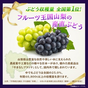 【2026年先行受付】ピオーネ 約550g×3房 山梨市産 「ピオーネ(種なし)」 詰め合わせ【配送不可地域：離島・沖縄県】【1117301】