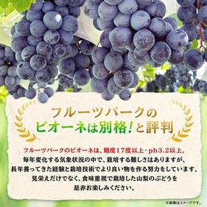 【2026年先行受付】ピオーネ 約550g×3房 山梨市産 「ピオーネ(種なし)」 詰め合わせ【配送不可地域：離島・沖縄県】【1117301】