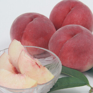 山梨市産　白桃と黄金桃の食べ比べセット　約2kg(5～8玉)【配送不可地域：離島】【1431881】