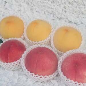山梨市産　白桃と黄金桃の食べ比べセット　約2kg(5～8玉)【配送不可地域：離島】【1431881】