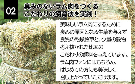 【先行予約】大月のびのび放牧羊【ステーキ＆焼肉用ラム肉】400g(肩ロース200g モモ200g)