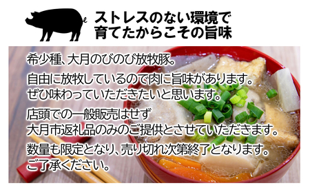 自然の中で飼育された 大月のびのび放牧豚の切り落とし肉 1.5㎏以上 (300g×5パック)【1087-015】