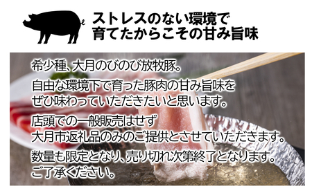【希少豚】大月のびのび放牧豚【バラ肉スライス】900g (300g×3)