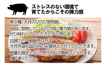 【希少豚】大月のびのび放牧豚【カツ・ステーキ用ロース】600g以上 (約150g×4)【1087-008】