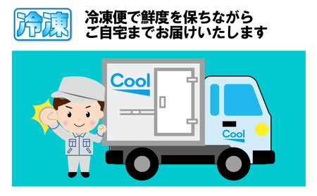 大月市内で肥育【赤身馬刺し】ヒレ・ロース　300g以上（100g前後ブロック×2～3個）【1087-030】