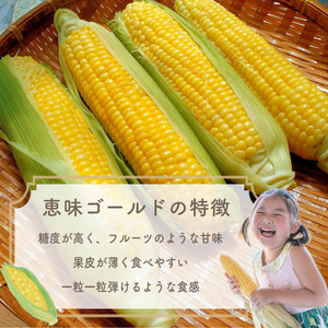 【2026年収穫分先行予約】富士山 恵味ゴールド｜トウモロコシ10本