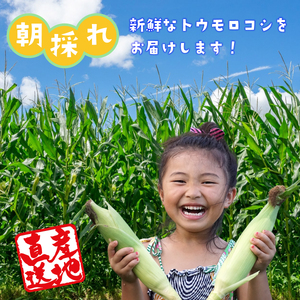 【2026年収穫分先行予約】富士山の白いトウモロコシ 5本