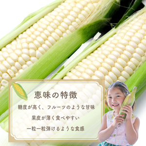 【2026年収穫分先行予約】富士山の白いトウモロコシ 5本