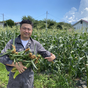 【2026年収穫分先行予約】富士山の白いトウモロコシ 5本