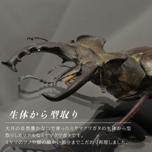 ミキナカヤマ様 18888-MC-YAMAZAKURA-SP-SKP-WP-