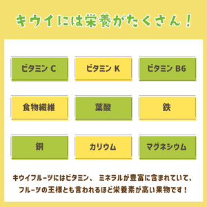 【先行予約】ご家庭用 国産レッドキウイ(小玉) 3kg　2025年10月より順次発送　
