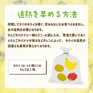 【先行予約】ご家庭用 国産ゴールドキウイ(小玉) 4kg　2025年10月より順次発送　