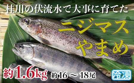 山梨県産 桂川の冷凍やまめ・ニジマスセット 計1.7kg(約16~18尾)