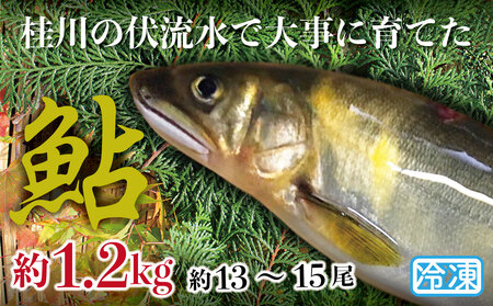 山梨県産 桂川の冷凍あゆ 約1.3kg(約14~16尾) ※2020年10月下旬頃~2021年4月下旬頃順次発送予定