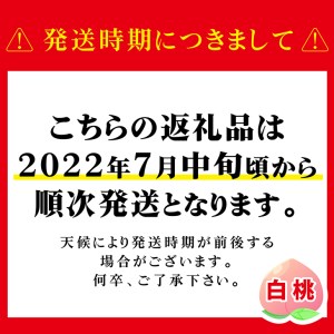 先行予約 山梨の完熟桃 白桃系 約2kg 4 8玉 沖縄 離島への配送不可 21年7月下旬 9月下旬頃発送 山梨県大月市 ふるさと納税サイト ふるなび