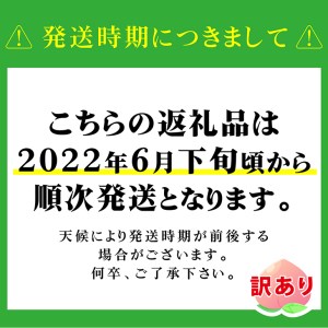 先行予約 訳あり品 山梨の完熟桃 2kg 4 8玉 沖縄 離島の配送不可 21年7月上旬 9月下旬頃発送 山梨県大月市 ふるさと納税サイト ふるなび