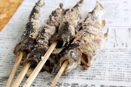 ルアー・フライフィッシング1日チケット（4名様）【023-006】｜魚 さかな つり ニジマス ヤマメ イワナ 渓流 川