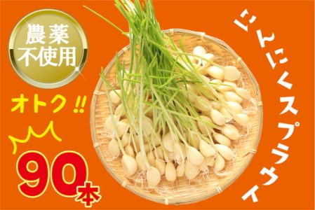 【農薬不使用】遠赤外線栽培にんにくスプラウト90本【058-001】 ※離島への配送不可 ※着日指定不可