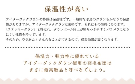 羽毛布団【シングル】アイルランド産アイダーダックダウン1000g　高級生地使用【S-40】