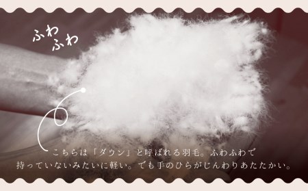 羽毛布団【ダブル】肌掛　ホワイトダウン85％500gDP350【H-2】