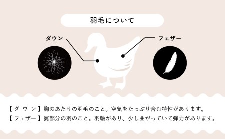 羽毛布団【シングル】肌掛　ポーランド産ホワイトマザーグースダウン93％400gDP410【H-7】