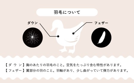 羽毛布団【ダブル】合掛　イングランド産ホワイトダウン90％1000g立体キルトDP360【H-16】