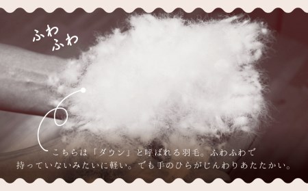 羽毛布団【シングル】合掛　ポーランド産ホワイトマザーグース93％700gDP410【H-17】