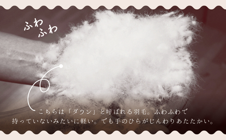 羽毛布団 【シングル】ポーランド産 ホワイトマザーグース95% 1.2kg 2層キルト DP440 【S-34】