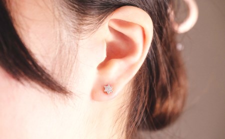 プラチナダイヤ ピアス トータル0.2ct E280DI-P【053-005】