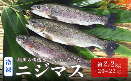 山梨県産　桂川の冷凍ニジマス　計:約2.2kg(約20～22尾)