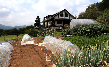 自分で野菜を作り収穫できる貸し農園【019-003】