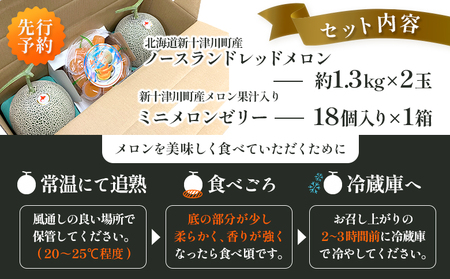 【先行予約】【数量限定】 赤玉メロン２玉・ミニメロンゼリーセット【令和７年７月～８月上旬発送】【1201701】