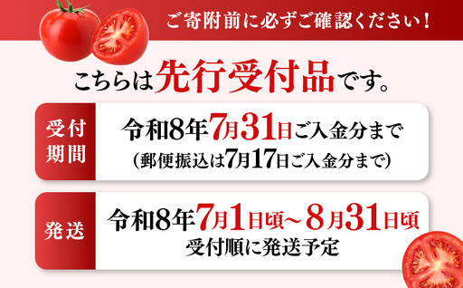 《先行受付》【特選】 清野ファームの高糖度トマト 54玉（約3.5kg）【令和8年7月1日頃～8月31日頃発送】【1800201】
