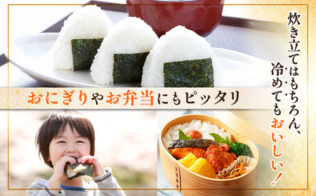 【令和7年度産】 食味ランキング「特A」ななつぼし精米定期便 (5kg×12回)【1100805】