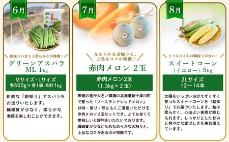 【新十津川町】夏の味覚定期便セット【1203001】