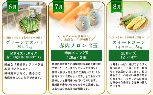 【新十津川町】夏の味覚定期便セット【1203002】
