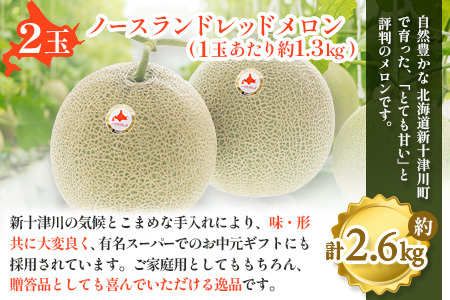 【先行予約】【数量限定】 赤肉メロン２玉【令和８年７月～８月上旬発送】【12031】