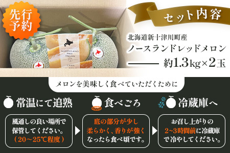 【先行予約】【数量限定】 赤肉メロン２玉【令和８年７月～８月上旬発送】【12031】